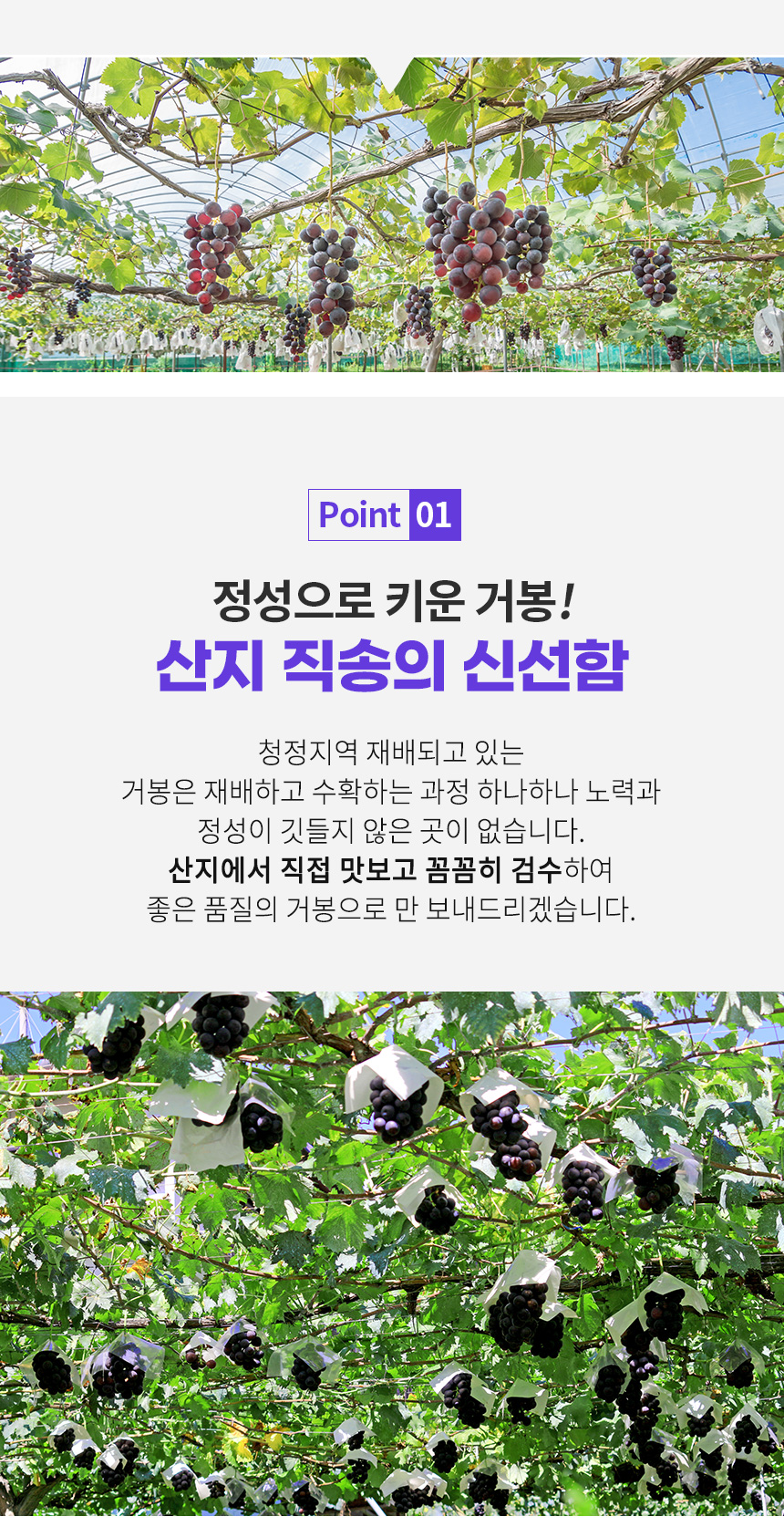 c541742caffd334c042b72860cbd431f_1727252859_3746.jpg