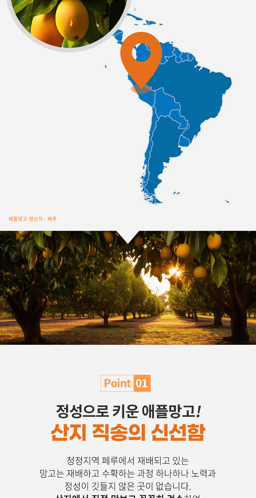 e27f87c80109e1dd83d193822cc09ae6_1734941643_0695.jpg
