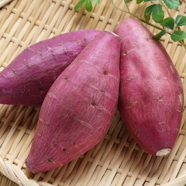 부드럽고 달콤한 세척 호풍미 고구마