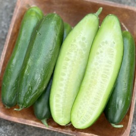 국내산 수분가득 아삭 미니오이