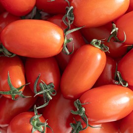 달콤 상쾌한 자일리톨 대추 방울 토마토